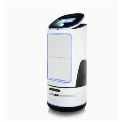 Romservicerobot